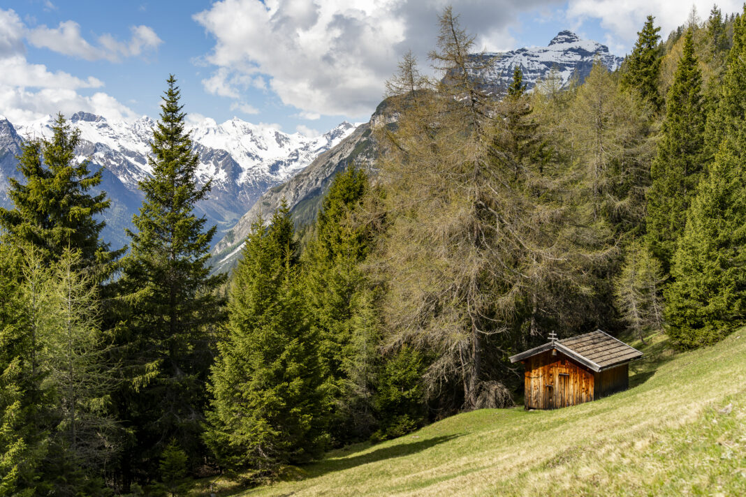 Bergidylle am Weg auf den Blaser