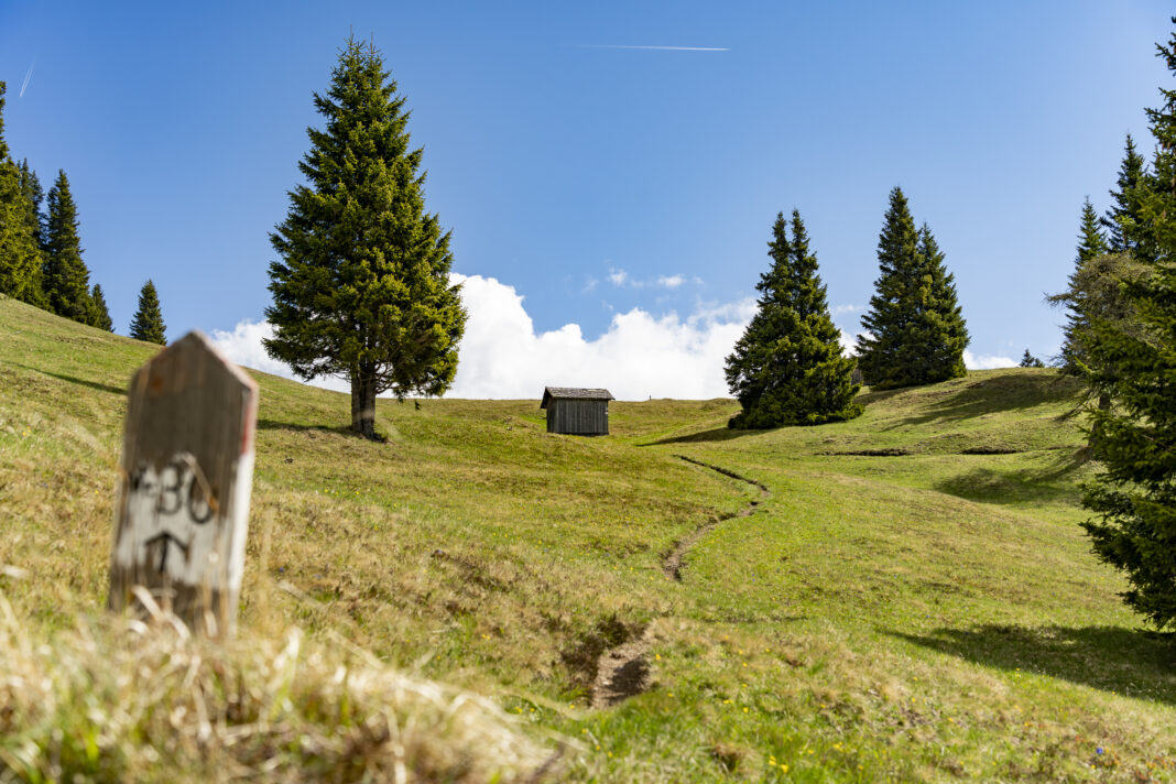 Der Weg Nr. 30 führt über schöne Wiesen auf den Gipfel
