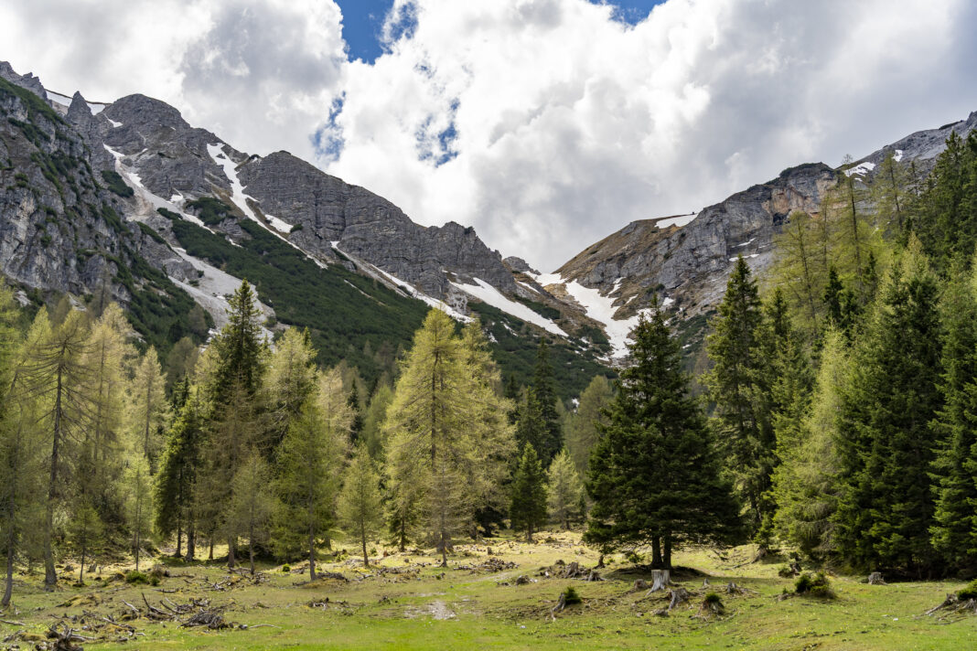 Blick zurück auf den Abstiegsweg mit Altschneefeldern
