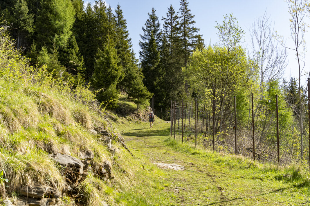 Der einfache Weg auf den Blaser