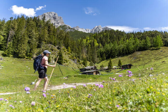Die letzten Meter zur Steinalm