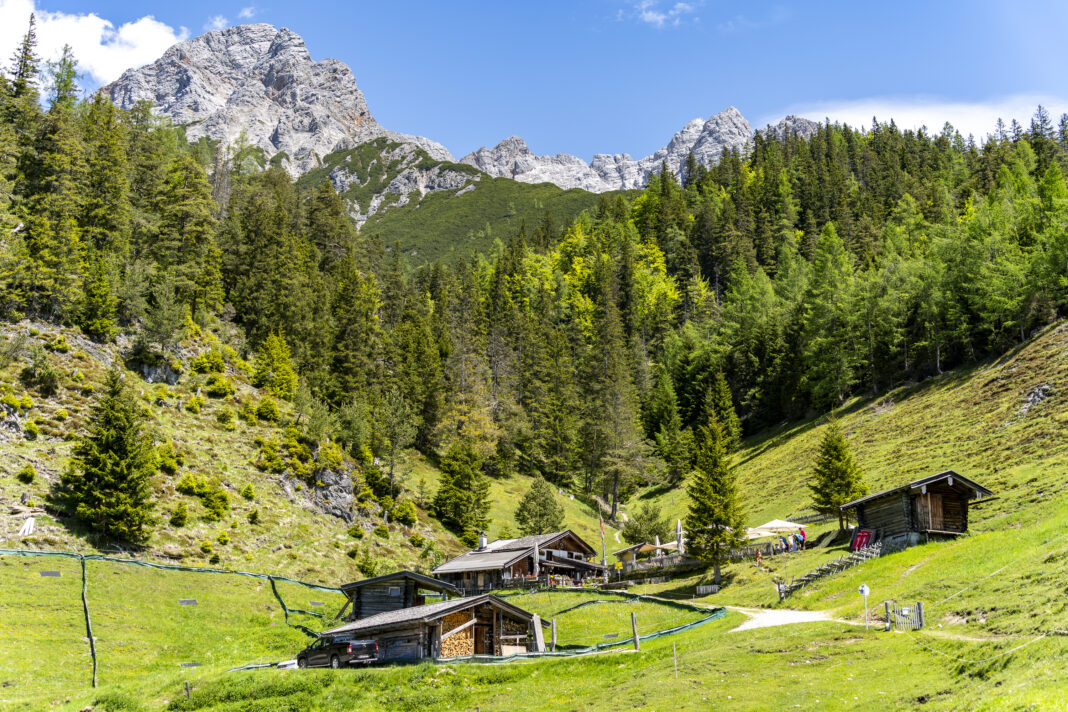 Malerisch bettet sich die Steinalm in die Ausläufer des Steinernen Meeres