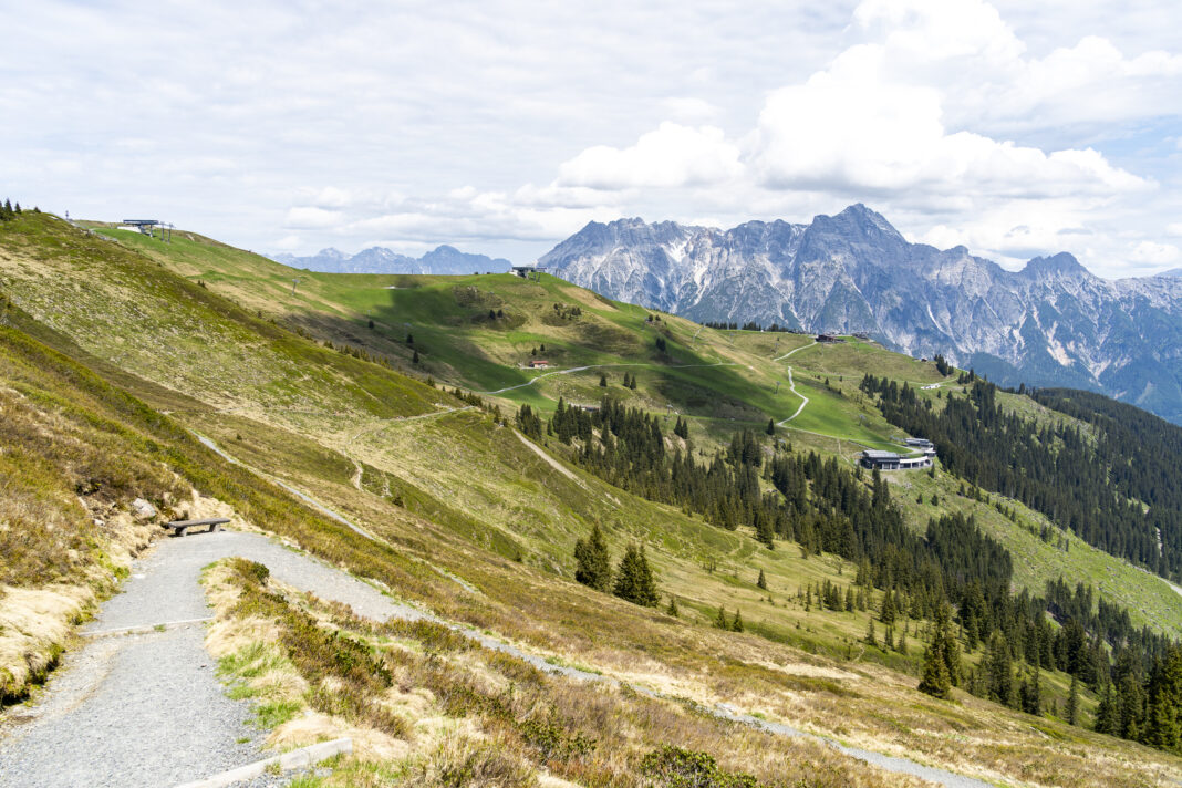 Zurück zur Bergstation geht's über Leo's Spielwanderweg