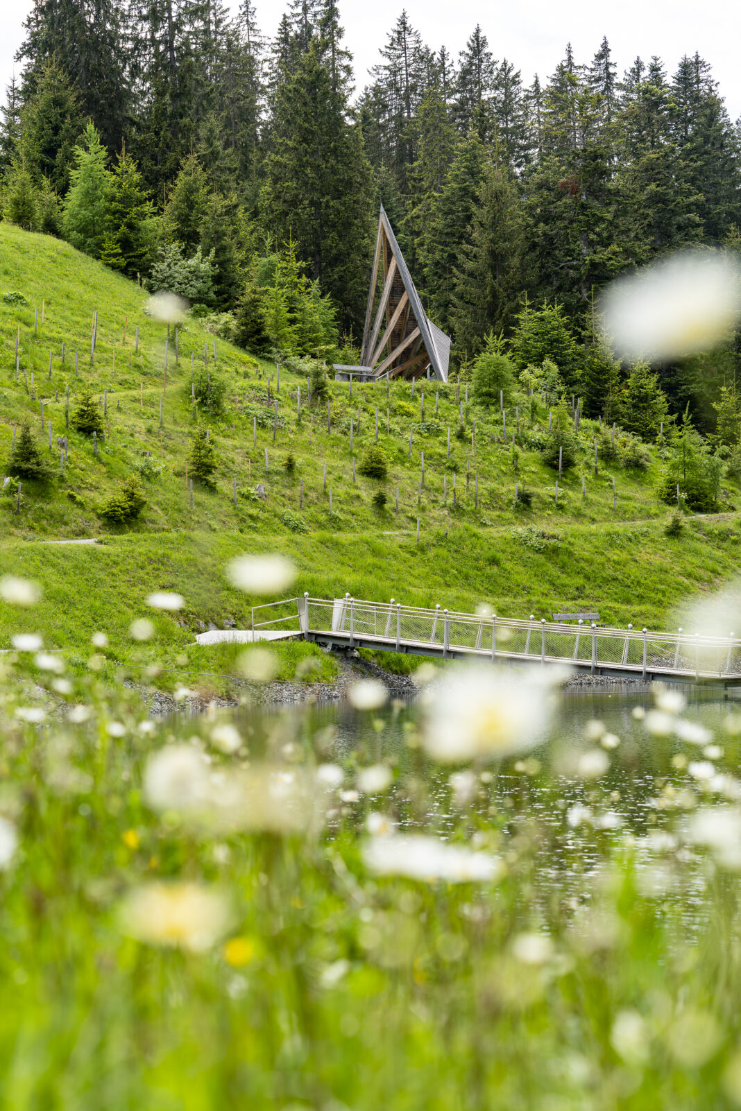 Modern trifft Natur beim Stillen Wasser