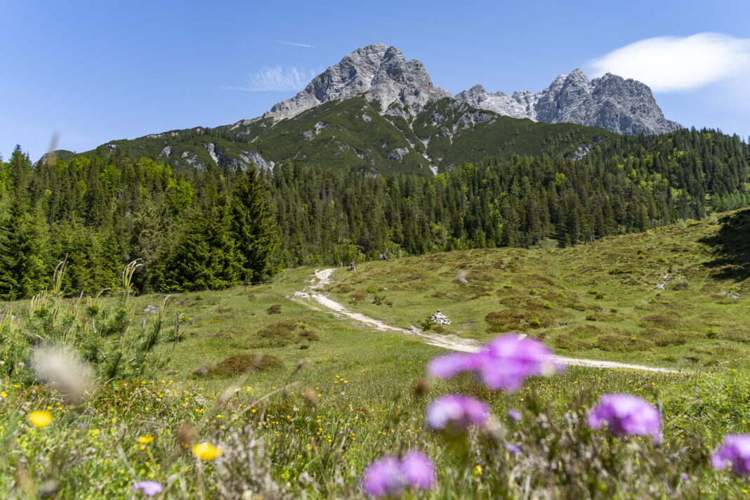 Im Hintergrund: das Steinerne Meer