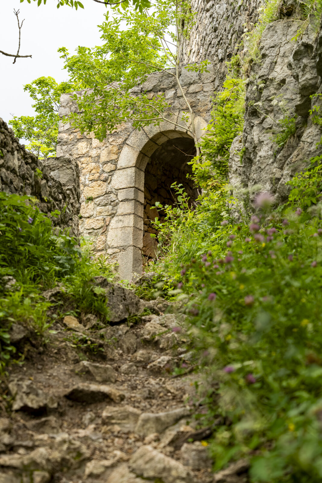 Eingang zur Ruine Wartenfels
