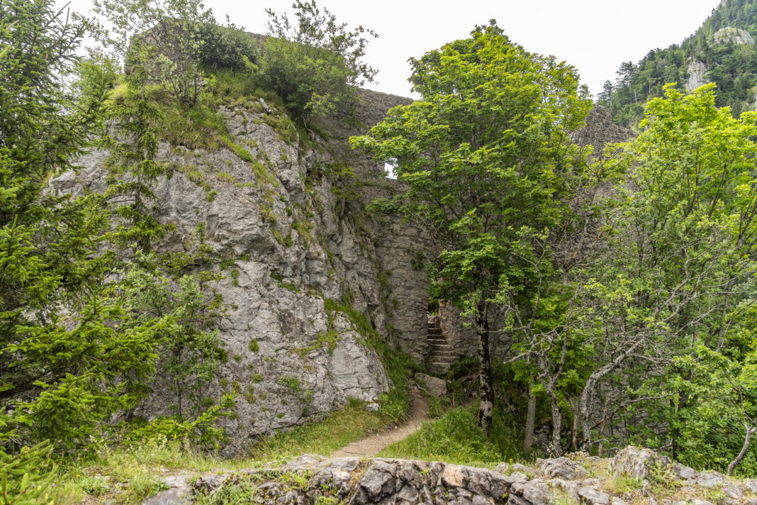 Die Burgruine Wartenfels