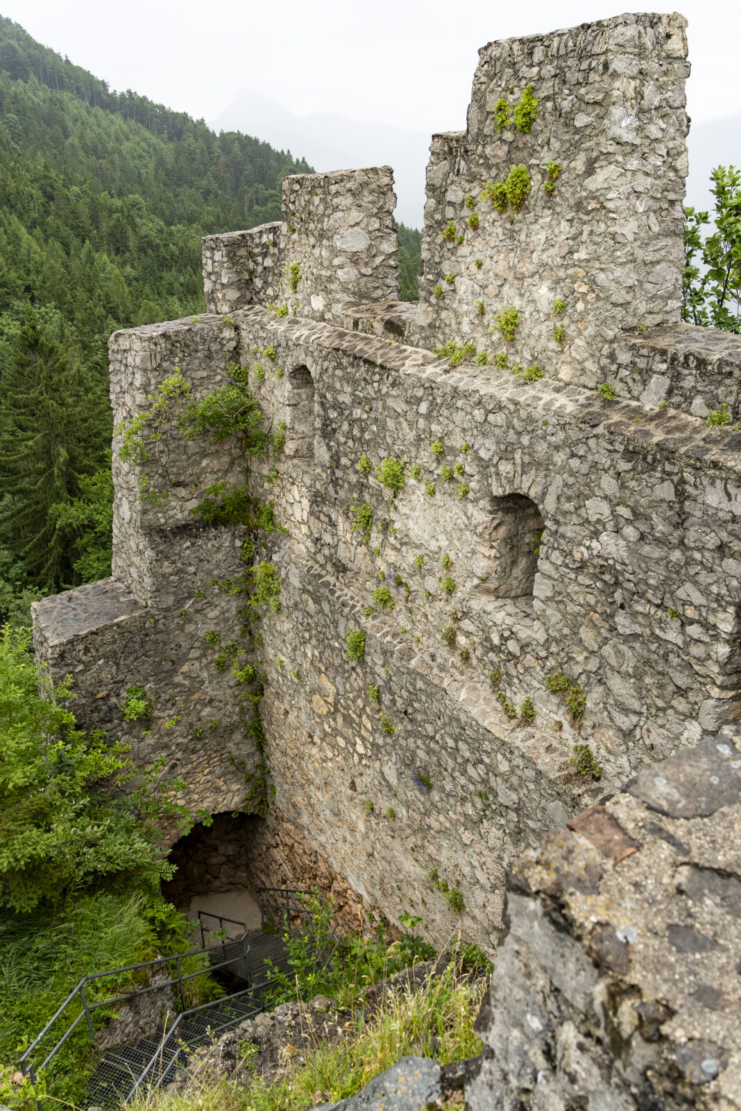 Die Ruine Wartenfels