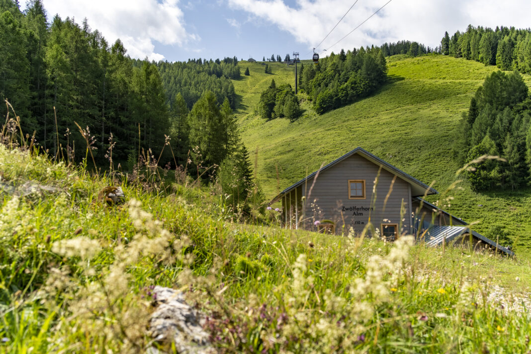 Am Weg nach oben passiert man die Zwölferhorn Alm