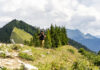 Am Panorama Rundwanderweg; im Hintergrund links das Gipfelkreuz des Zwölferhorns