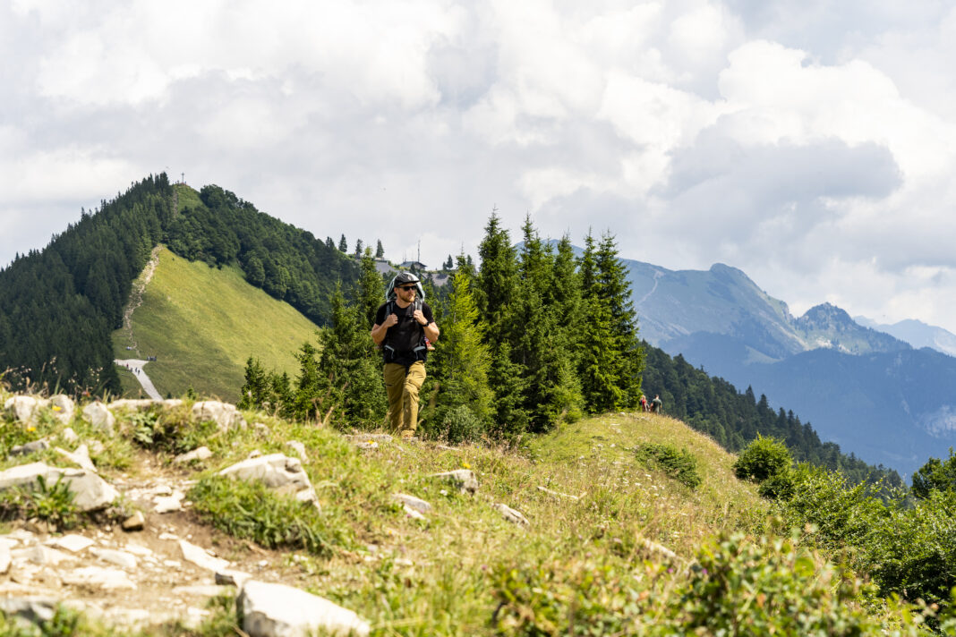 Am Panorama Rundwanderweg; im Hintergrund links das Gipfelkreuz des Zwölferhorns