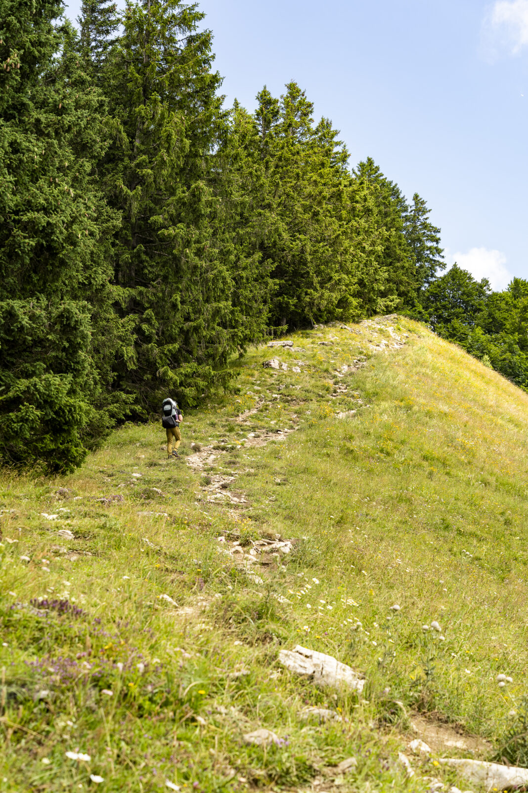 Hoch zum Gipfel des Zwölferhorns wird es etwas steiler