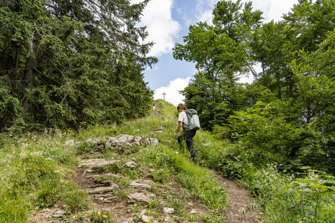 Die letzten Meter zum Gipfel des Zwölferhorns
