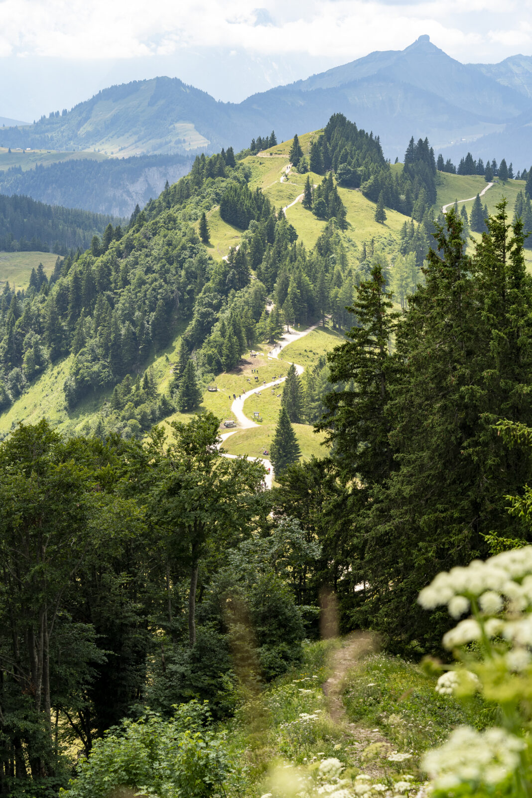 Blick zurück auf den kompletten Panorama Rundwanderweg