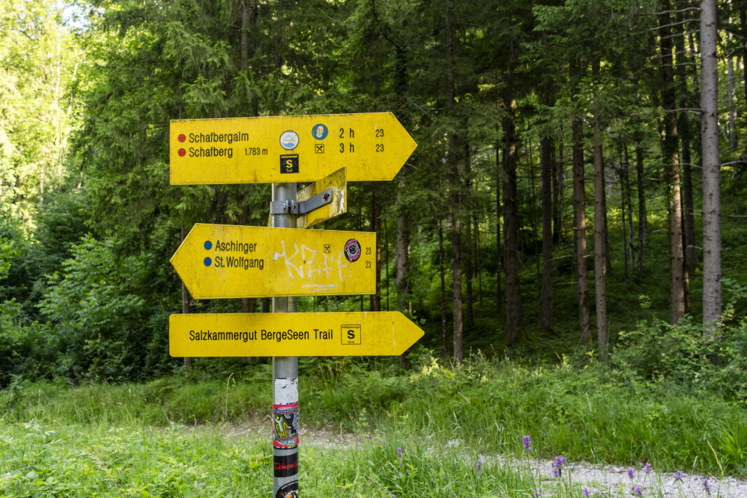 Der 4 Berge 3 Seen Trail auf den Schafberg