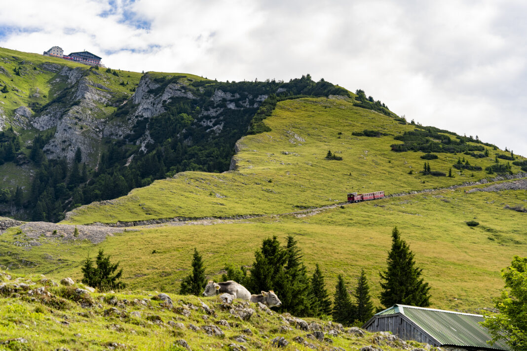 Die Strecke der Schafbergbahn verläuft über die Schafbergalm