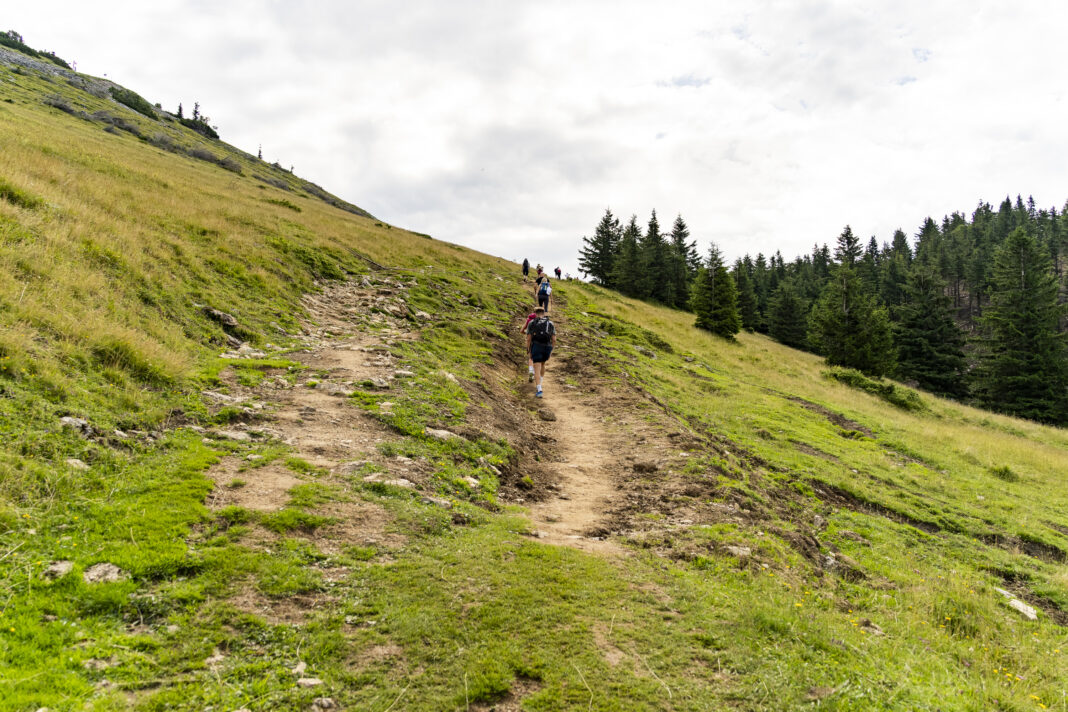 Der einfache Wanderweg über die Schafbergalm