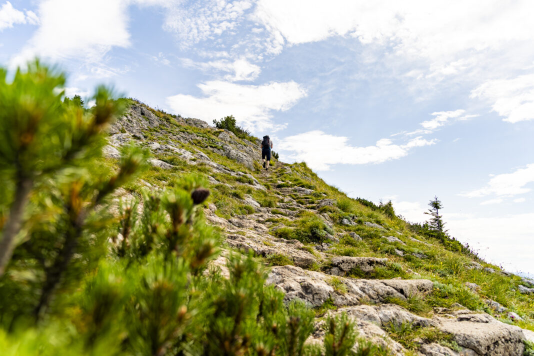 Der Weg auf den Schafberg ist bestens gewartet