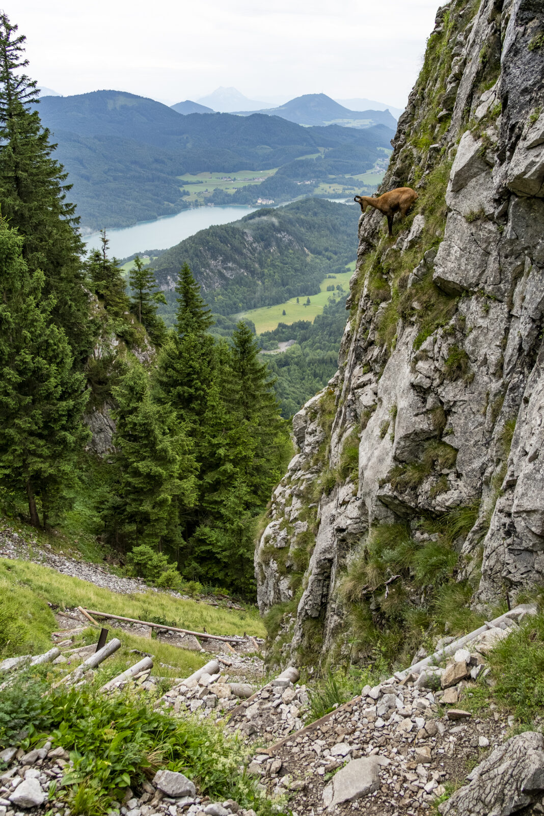 Wie die wohl wieder wegkommt?