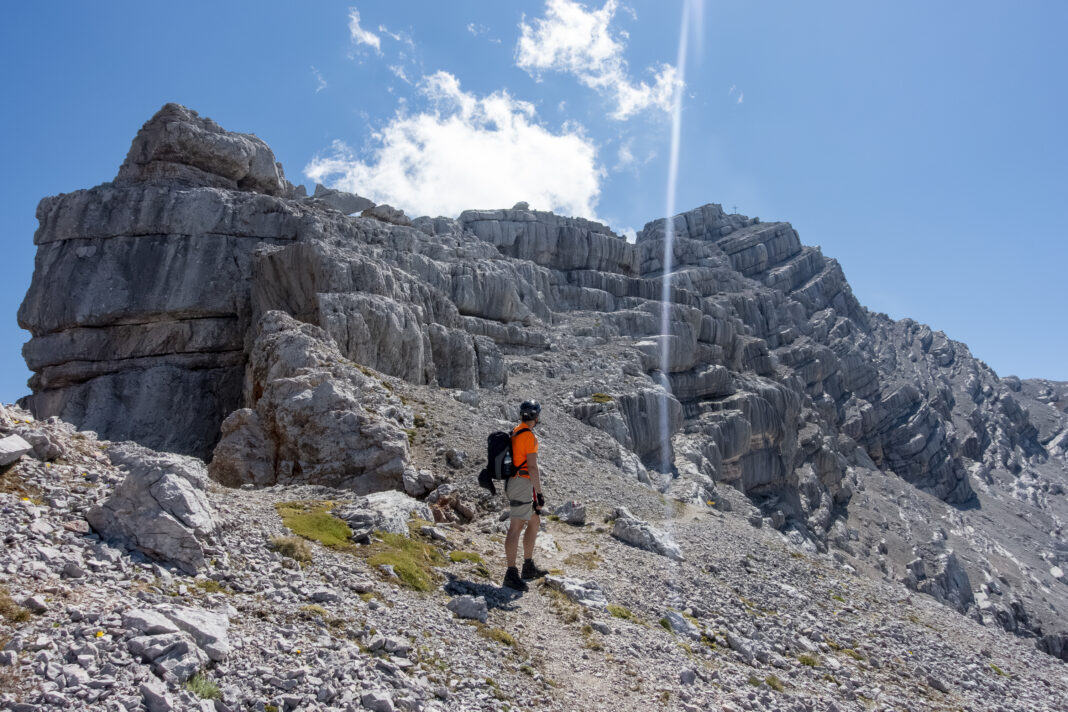 Blick auf den Gipfelaufbau des Birnhorns 