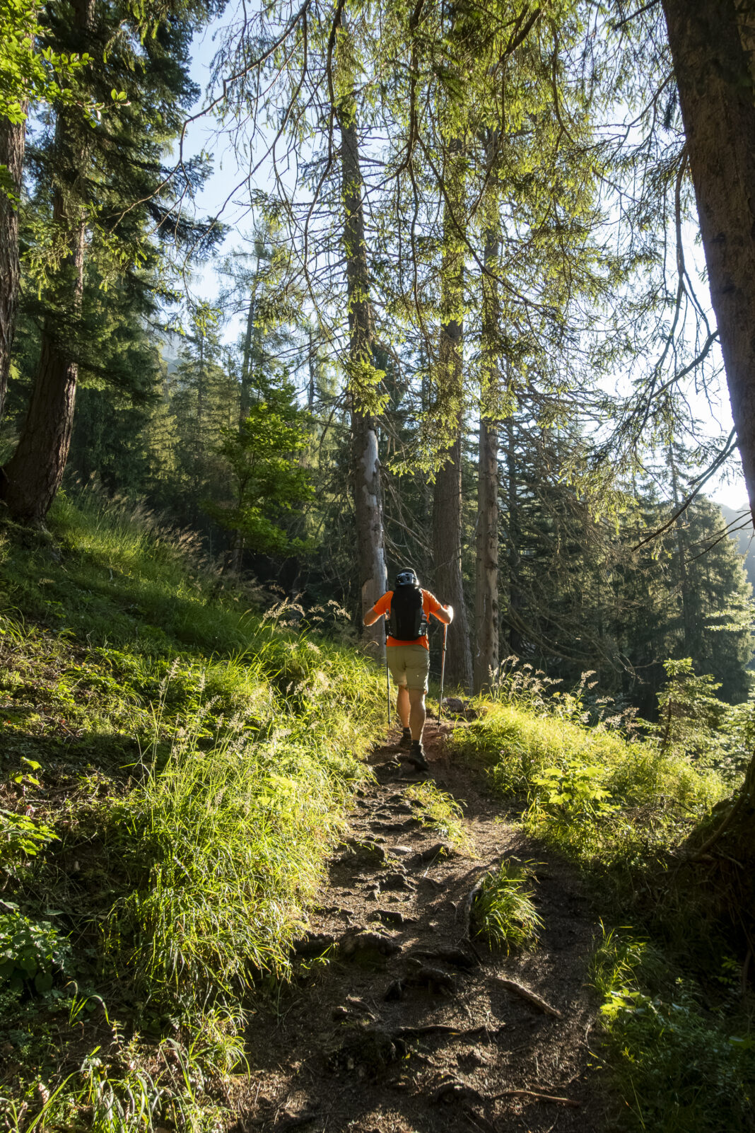 Anfangs geht es noch technisch einfach, wenn auch steil, durch einen schönen Wald