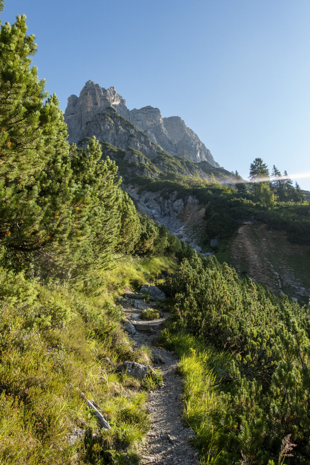 Nach ein paar Hundert Höhenmeter verlässt man den Wald und das Gelände wird alpiner