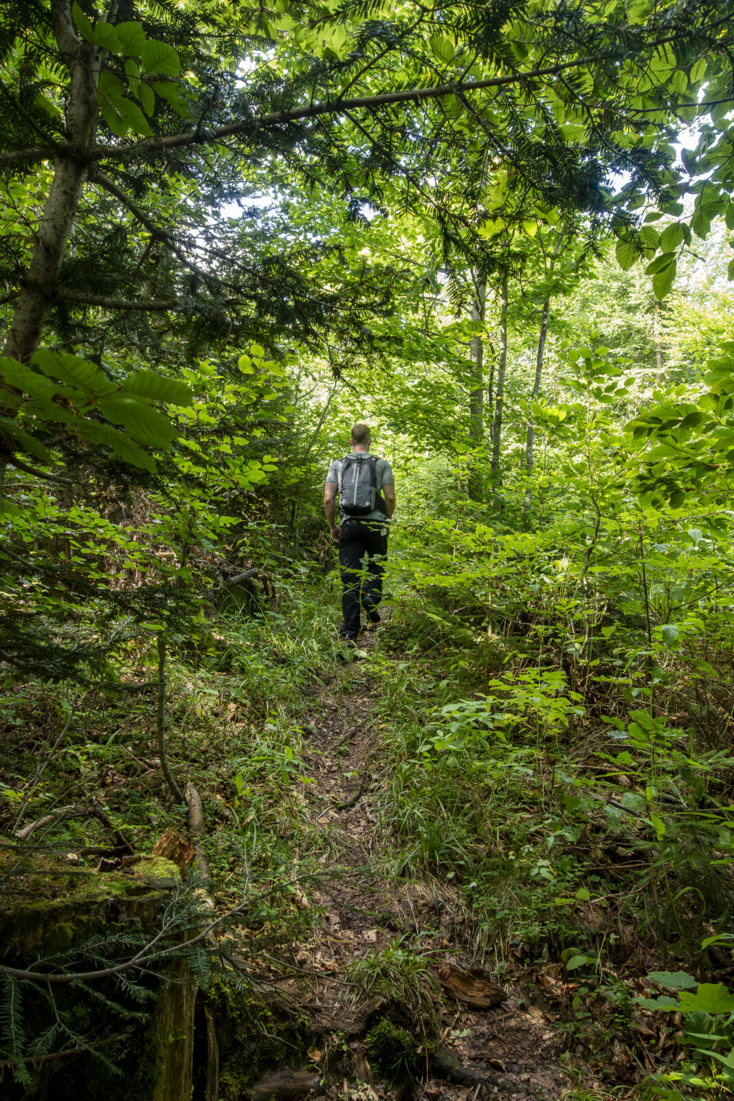 Der steile Pfad im Sohlengraben 