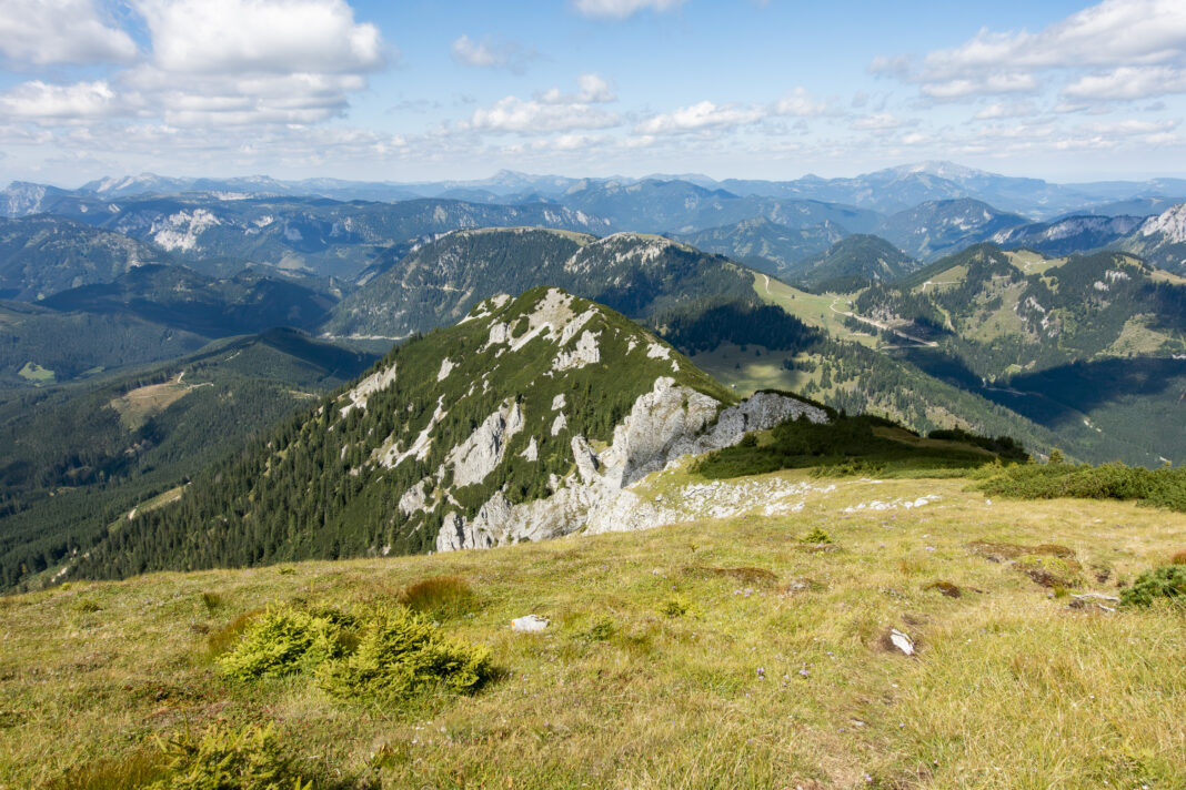Blick zurück auf den unscheinbaren Kleinen Wildkamm