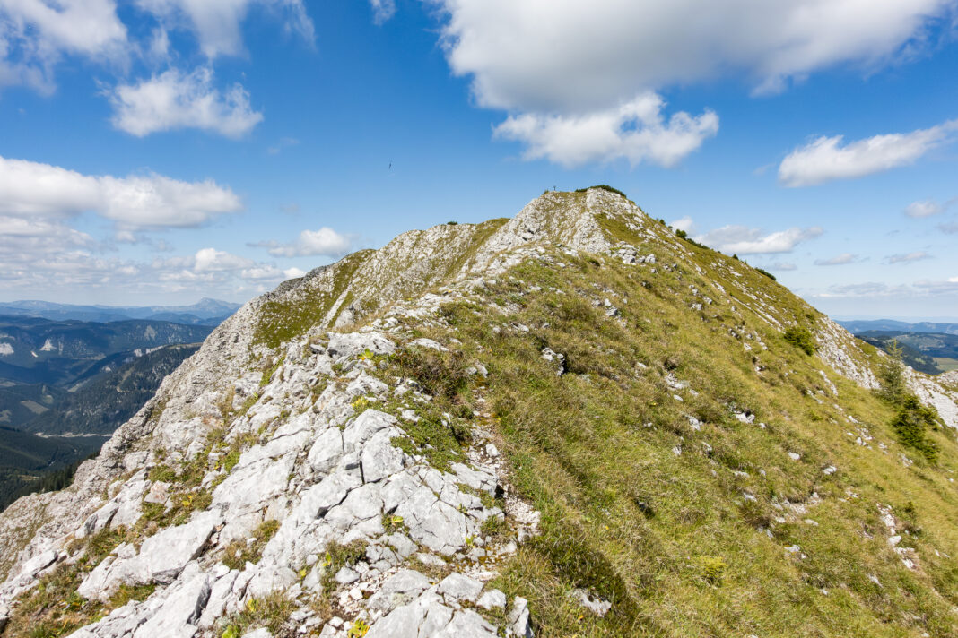 Blick zurück zum Gipfel des Großen Wildkamms