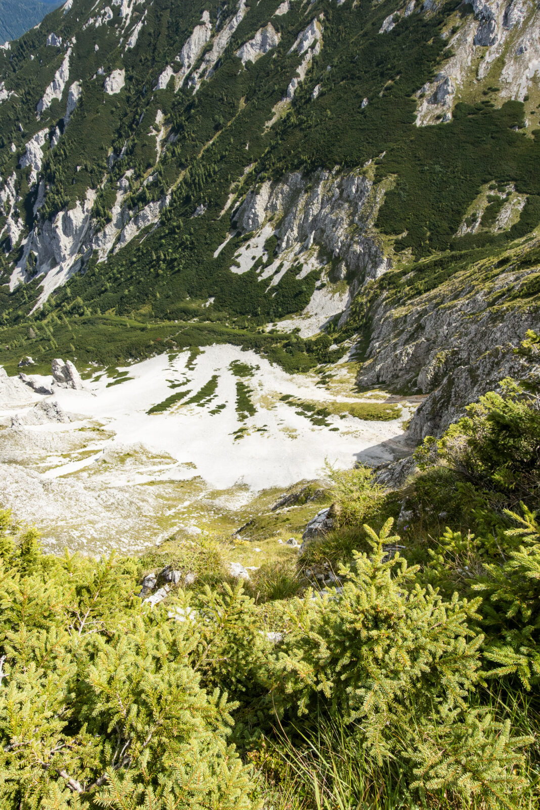 Tiefblick ins Rodeltal