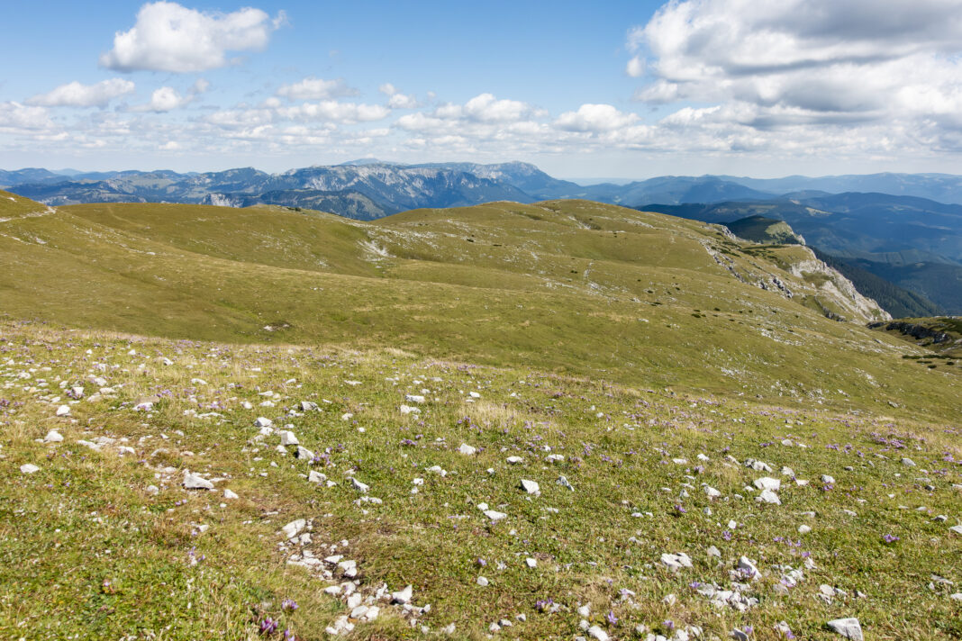 Das weitläufige Hochplateau der Veitsch