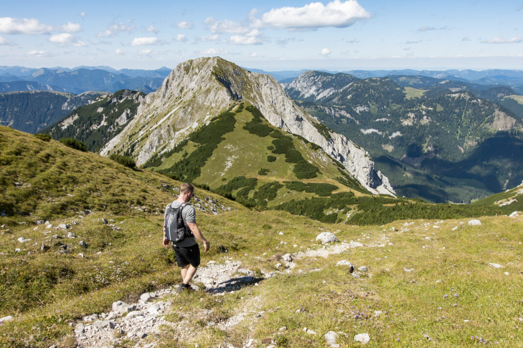 Der Wildkamm mit der Gingatzwiese