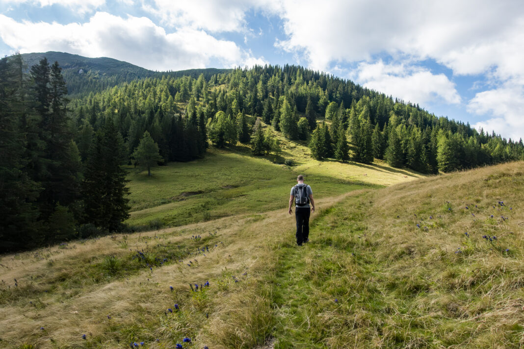 Schönes Gelände auf der Sohlenalm