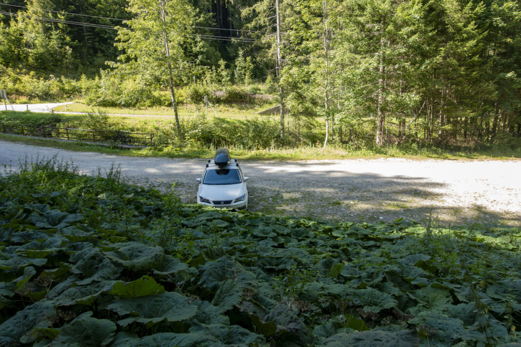 Ganz alleine am Parkplatz