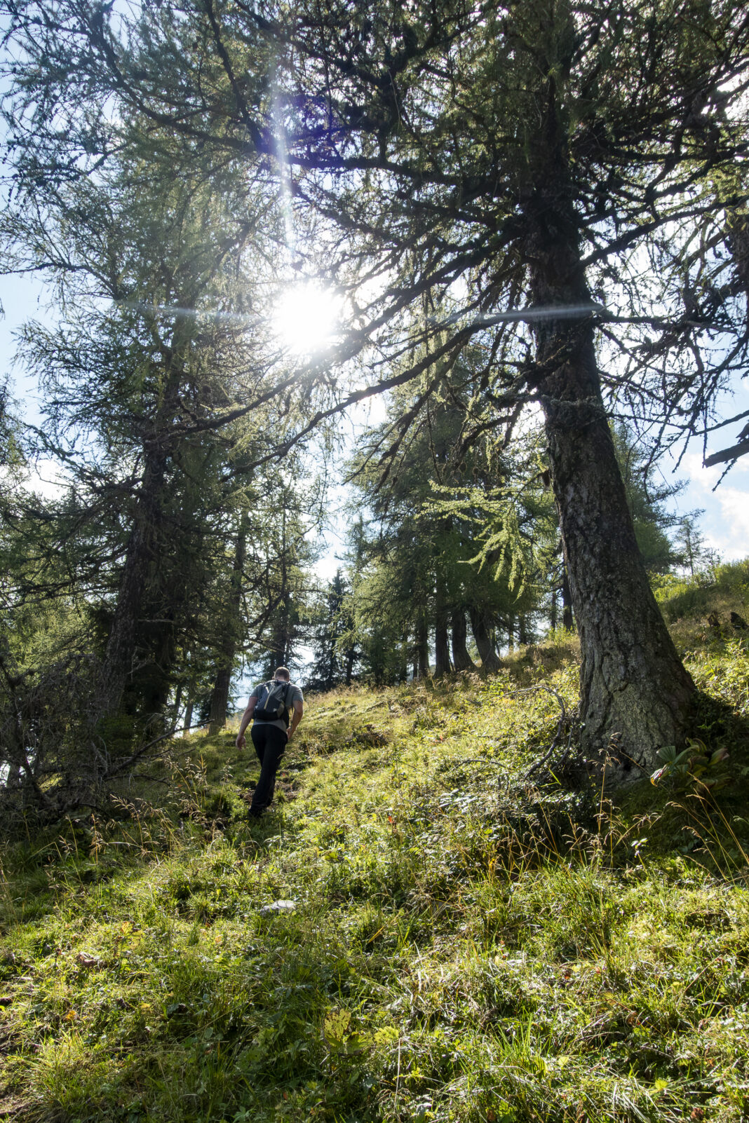 Es geht weiter steil bergauf auf den Rücken des Wildkamms