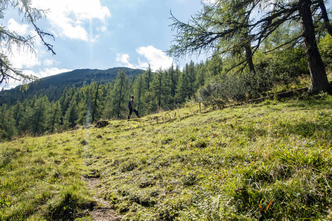 Der Weg ist meist nur ein Trampelpfad