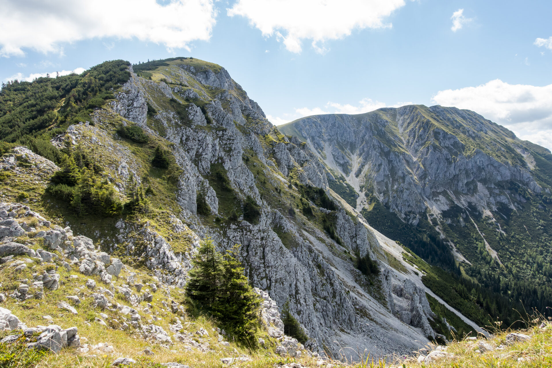 <a href="https://rauf-und-davon.at/veitsch-wildkamm-ueberschreitung/">Wildkamm</a> - August 2025