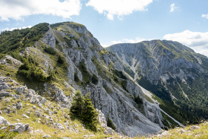 Großer Wildkamm mit Veitsch