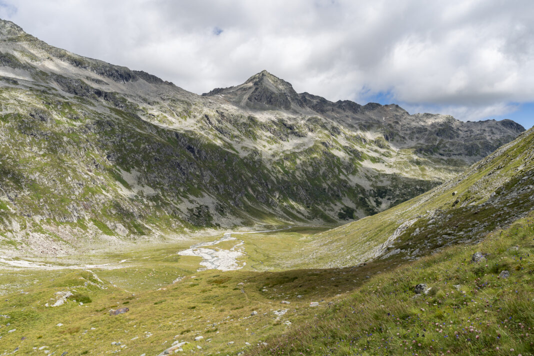 Das Landschaftsbild wird wieder grüner und lebendiger