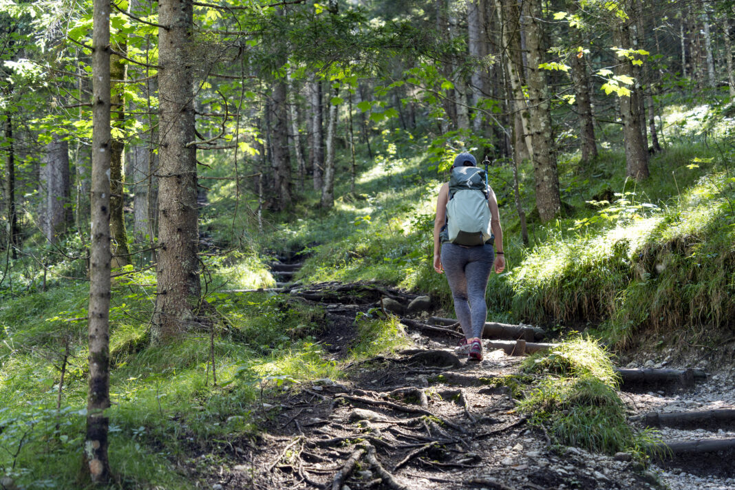Viele Stufen erleichtern den Aufstieg