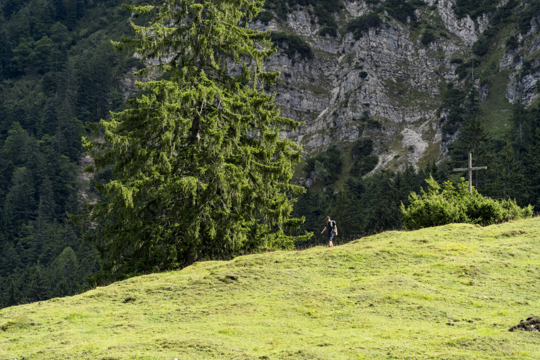 Ein Gipfelkreuz gibt es bei der Staudacher Alm auch