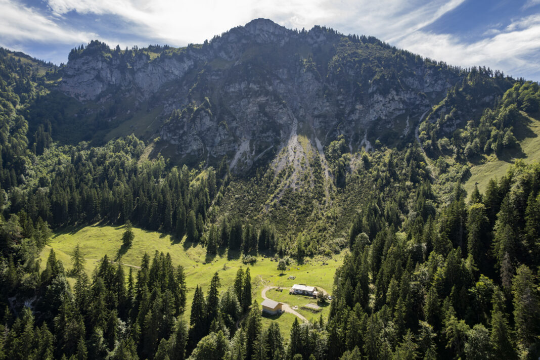Die Staudacher Alm liegt am Fuß des Hochgern