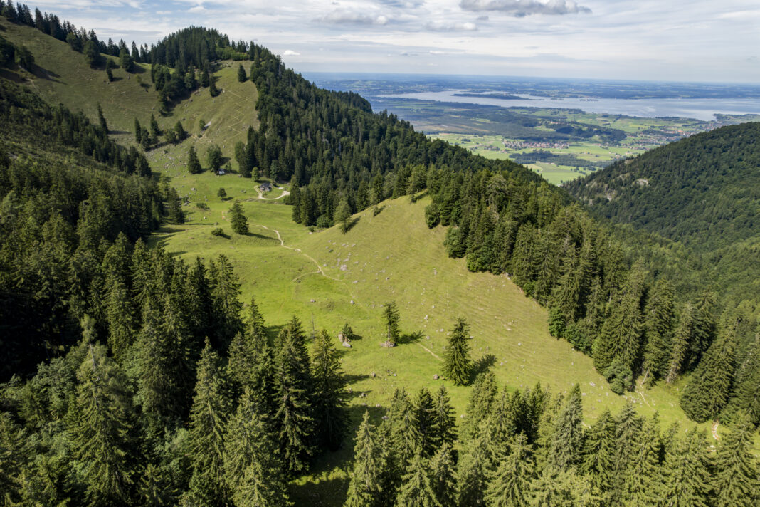 Luftaufnahme der Staudacher Alm; im Hintergrund der Chiemsee