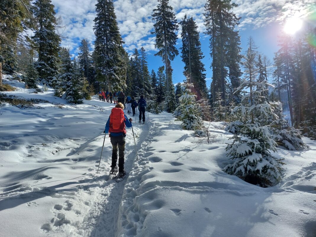 Schneeschuh Tour Tippelreiter © Berghof