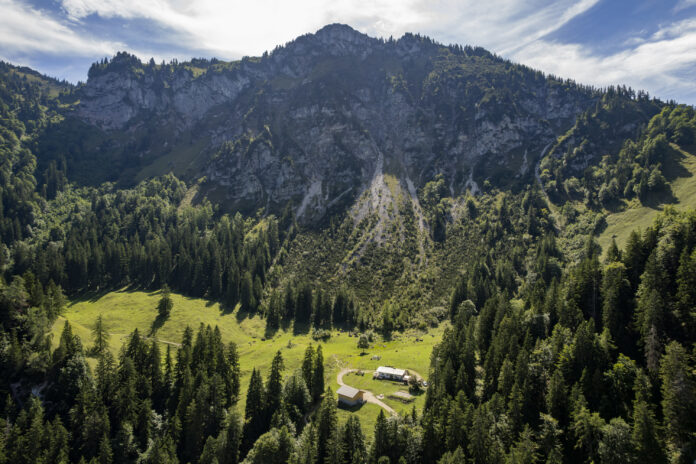 Die Staudacheralm liegt am Fuß des Hochgern