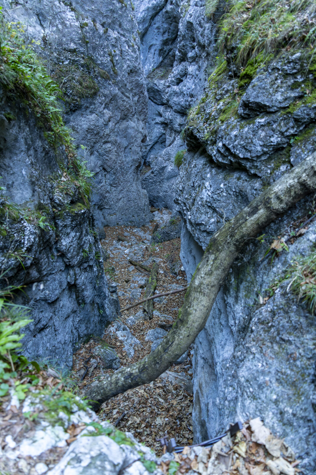 Blick zurück auf den ersten und zugleich spektakulärsten Abschnitt der Weichtalklamm
