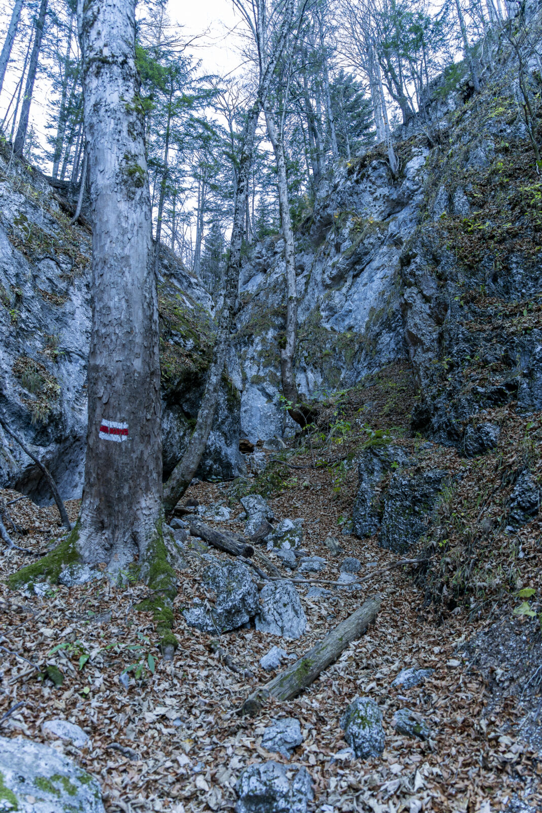 Im Herbst ist die Klamm mit Unmengen an Laub gefüllt