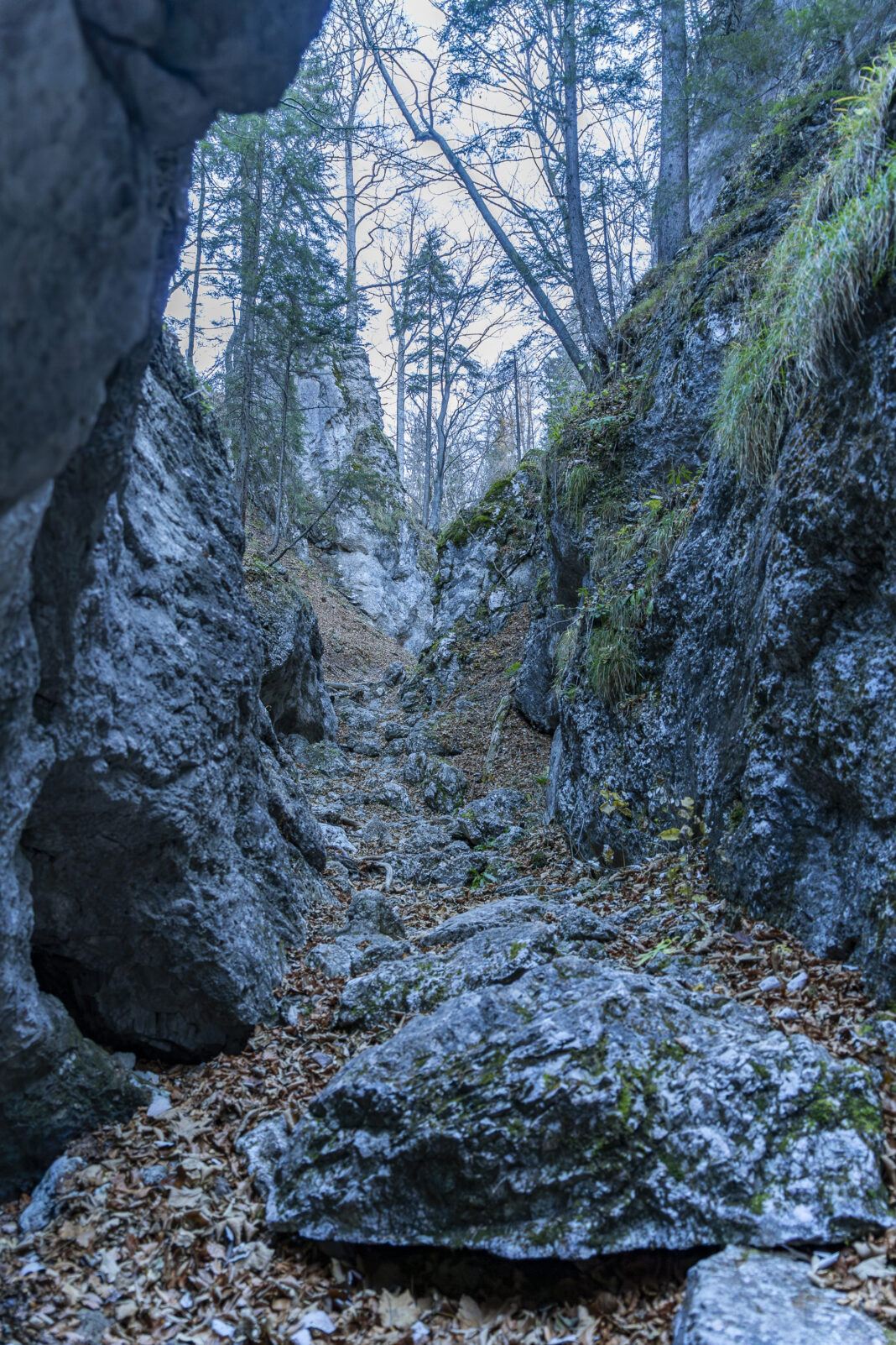 Einfach genial: die Märchenhafte Landschaft in der Weichtalklamm