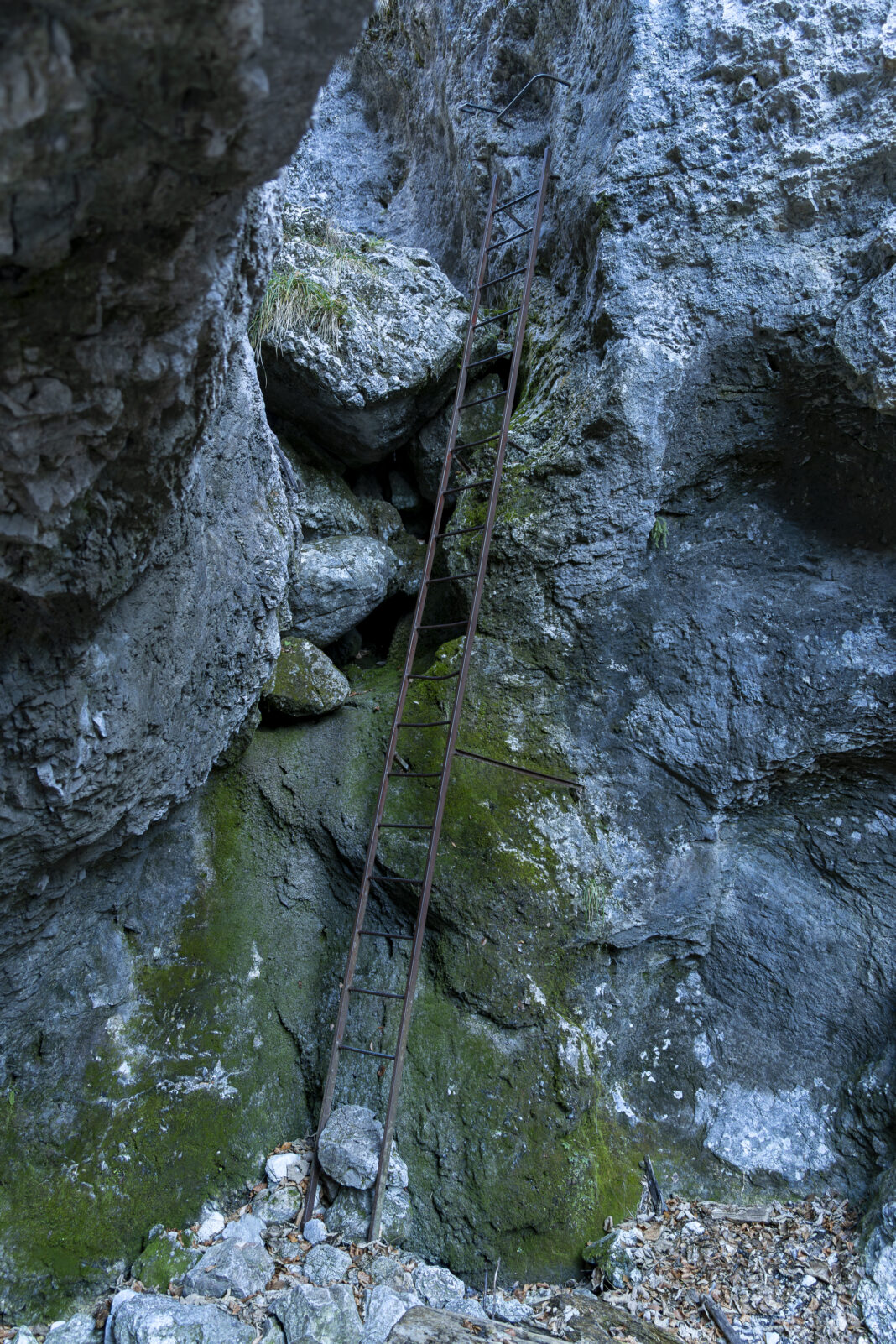 Die längste Leiter in der Weichtalklamm