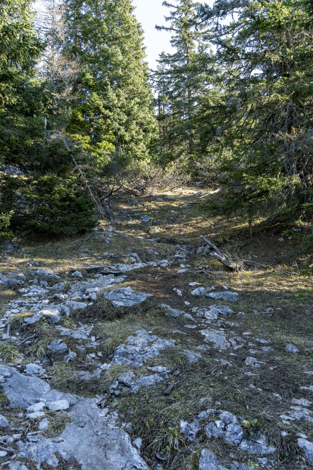Weiter geht's über die Westseite des Schneebergs Richtung Gipfel